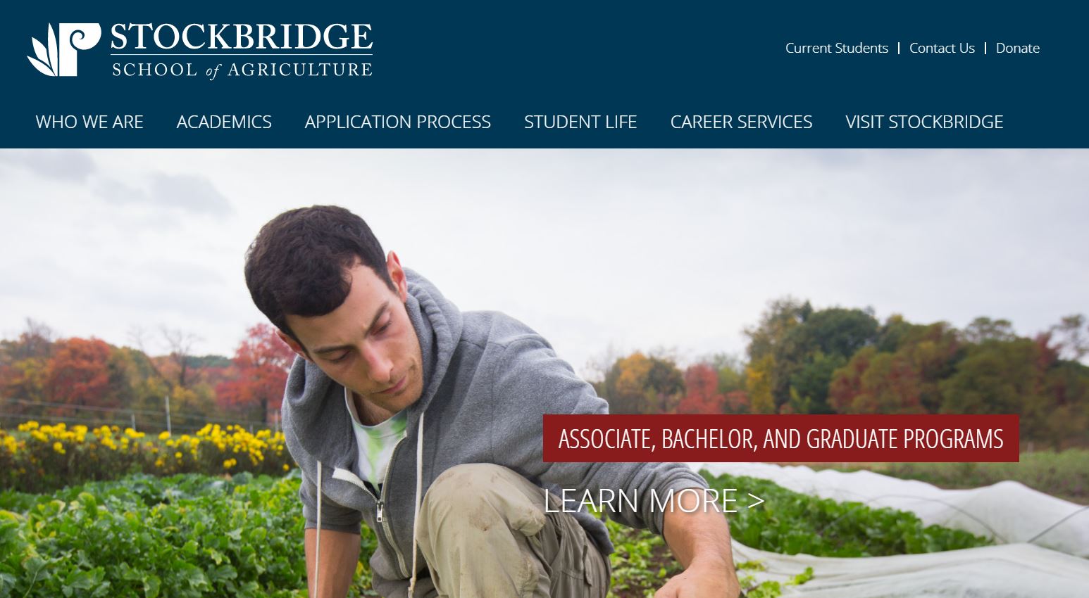 Stockbridge Today Levi Stockbridge Lessons and Legacy