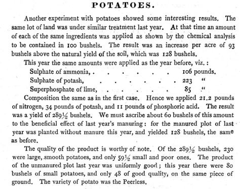 potatoes